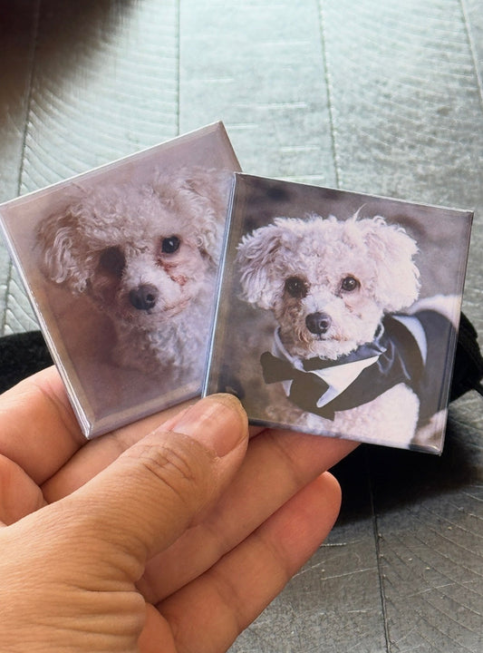 (9) Custom 2x2 Photo Magnets