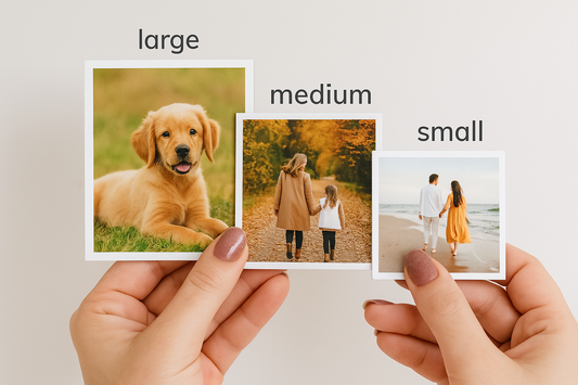 (12) Flexible Magnets